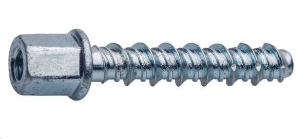 Internally threaded socket bolt BZP with a self-tapping design for secure installation in various materials.