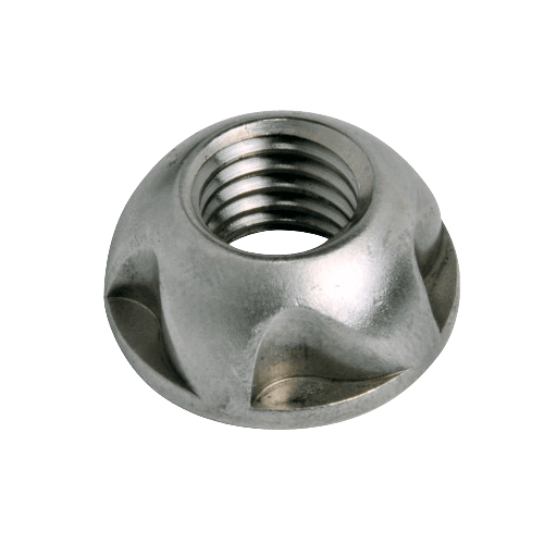 stainless steel security nut with a unique shape